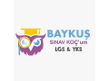 baykus-koc-small-0